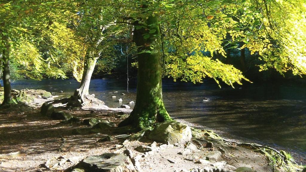 Bryn Bella Guest House Betws-y-coed Εξωτερικό φωτογραφία